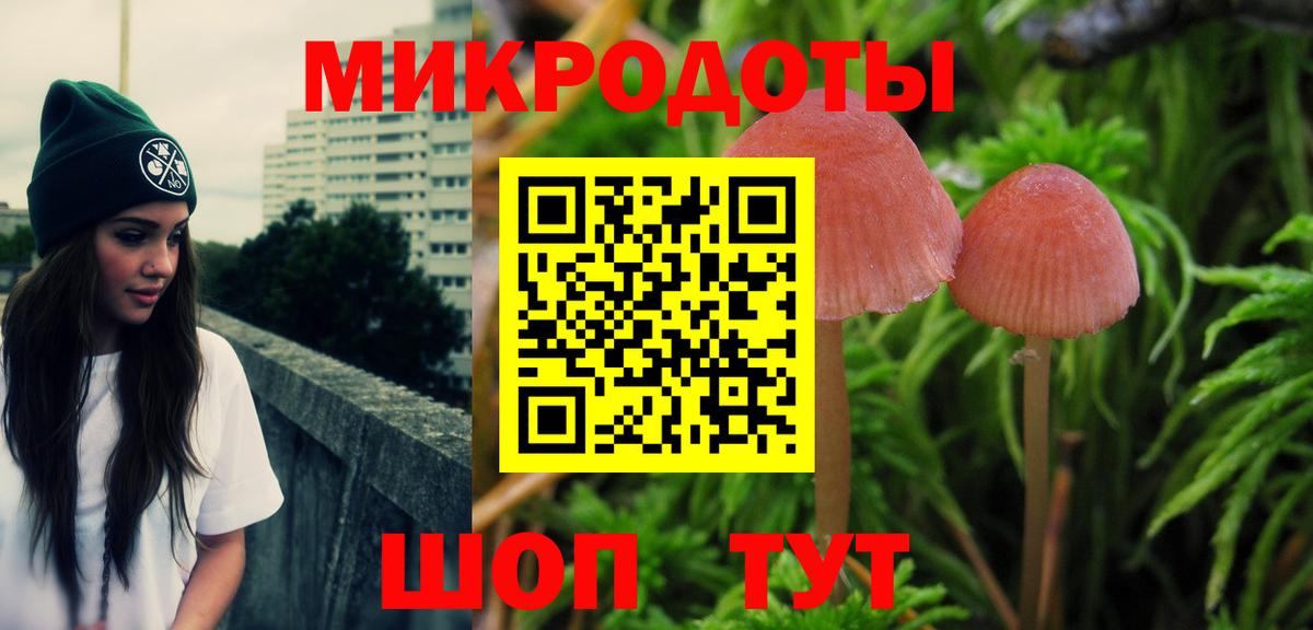 Галлюциногенные грибы Psilocybe Удомля